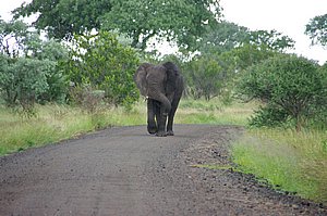 IMGP6379.JPG
