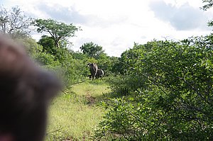 IMGP6770.JPG