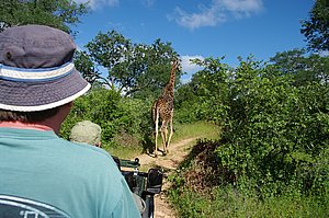IMGP6809.JPG
