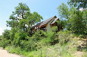 IMGP6835.JPG