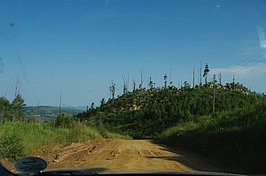 IMGP7106.JPG