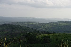 IMGP7159.JPG