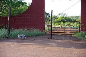 IMGP7396.JPG