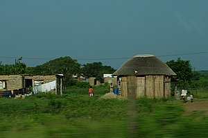 IMGP7403.jpg