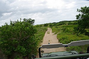 IMGP7412.JPG