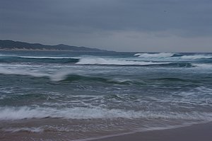 IMGP7444.JPG