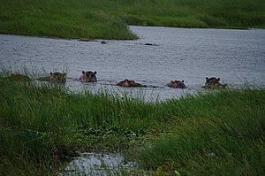 IMGP7490.JPG