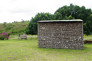 IMGP7517.jpg