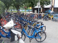 TG560356  Les vélos de location, par milliers...
