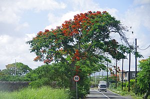 IMGP3496.JPG