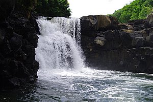 IMGP3986.JPG