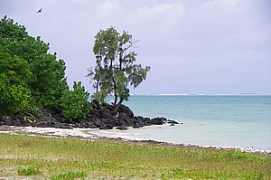 IMGP3994.JPG