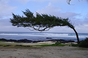 IMGP4027.JPG