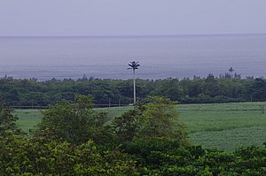 IMGP4228.JPG