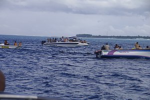 IMGP4329.JPG