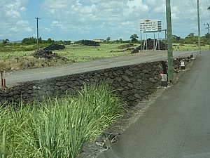 P1000993.JPG