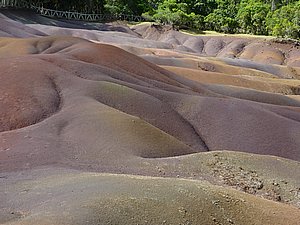 P1010041.JPG