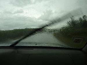 P1010180.JPG