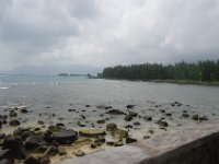 IMGP6489