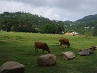 IMGP6493