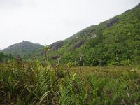 IMGP6586