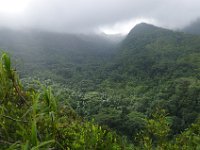 IMGP6637