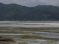 IMGP6805