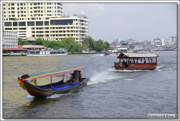 IMGP4535.JPG