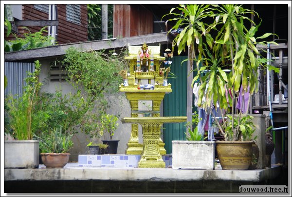 IMGP4594.JPG