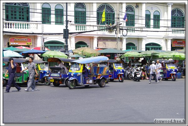 IMGP4636.JPG