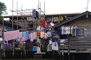IMGP4552.JPG