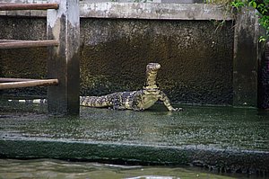 IMGP4560.JPG