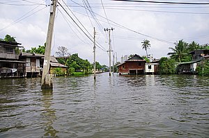 IMGP4574.JPG
