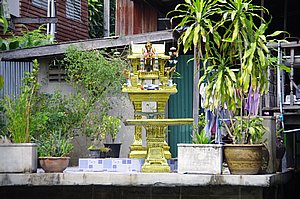 IMGP4594.JPG