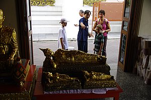 IMGP4607.JPG