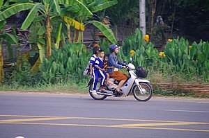 IMGP4825.JPG