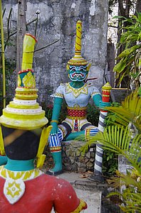 IMGP5231.JPG