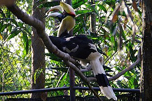 IMGP5490.JPG