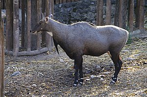 IMGP5508.JPG