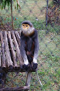 IMGP5812.JPG