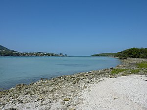 P1010582.JPG
