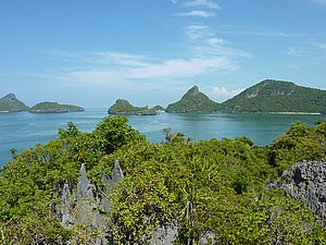 P1010657.JPG