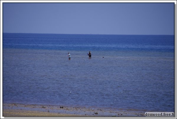 IMGP0748.JPG