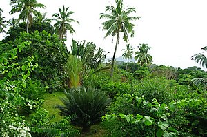 IMGP0595.JPG