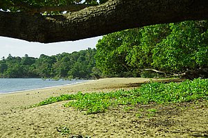 IMGP0627.JPG