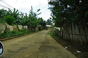 IMGP0706.JPG