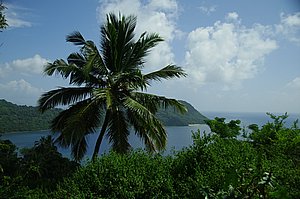 IMGP0713.JPG