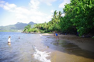 IMGP0728.JPG