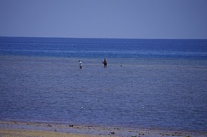 IMGP0748.JPG