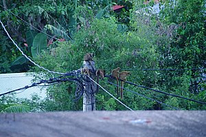 IMGP0792.JPG